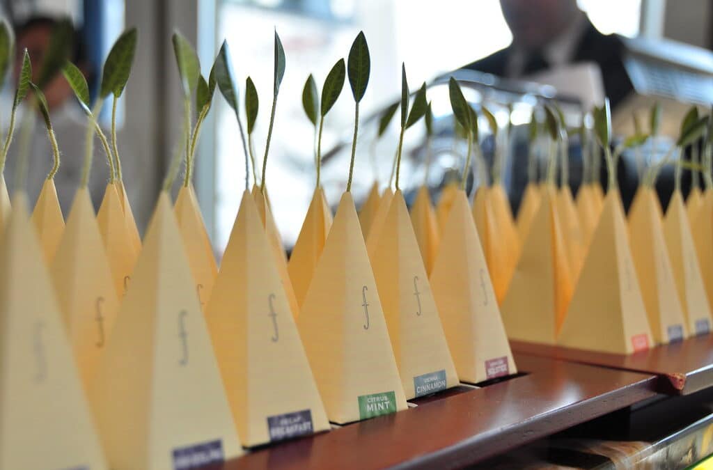 How Can Tea Packaging Drive Operational Efficiency and Enhance Consumer Engagement?