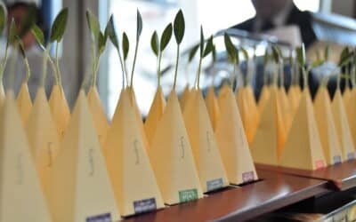 How Can Tea Packaging Drive Operational Efficiency and Enhance Consumer Engagement?