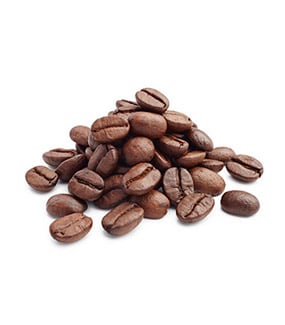 Premade Pouch Fill and Seal Machine