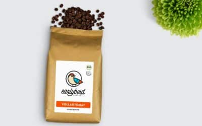 Packaging Perfection: Achieving Efficiency with Gusseted Bag Packing Machines
