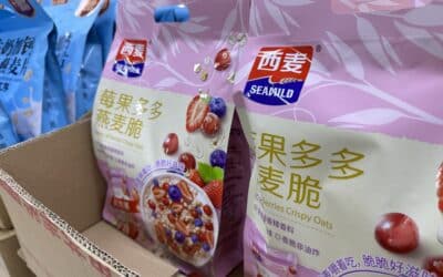 Gusseted Bags & Pouch Machines: A Packaging Breakthrough