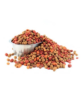 Premade Pouch Fill and Seal Machine