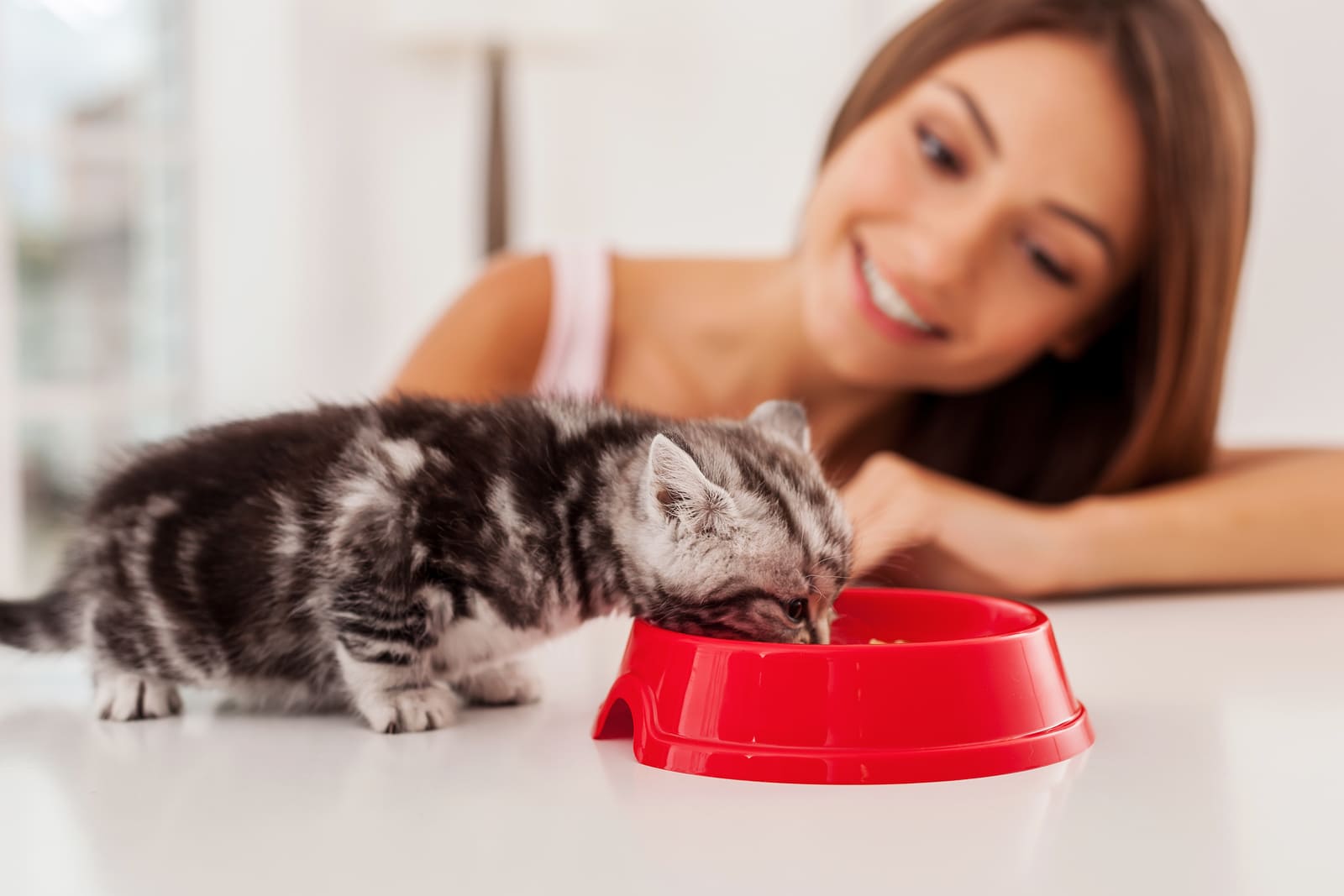beautiful women with cat