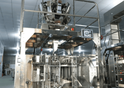 Premade pouch packaging machines