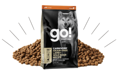 Unveiling the Packaging Marvel: Your Comprehensive Guide to Gusseted Bags and Pouch Packing Machines